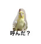 "Yuzu"（個別スタンプ：5）