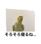 "Yuzu"（個別スタンプ：7）