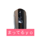 Goronosuke 3（個別スタンプ：6）