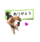 ふせん de セナたん（個別スタンプ：2）