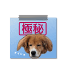 ふせん de セナたん（個別スタンプ：8）