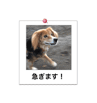 ふせん de セナたん（個別スタンプ：11）