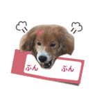 ふせん de セナたん（個別スタンプ：12）