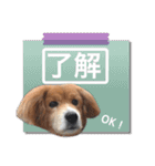ふせん de セナたん（個別スタンプ：14）