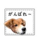 ふせん de セナたん（個別スタンプ：18）