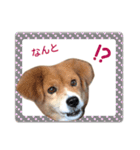 ふせん de セナたん（個別スタンプ：23）