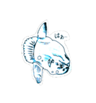 強面マンボウ（個別スタンプ：4）