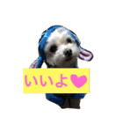 らーたん（個別スタンプ：4）