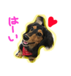 ぺぺピノ2（個別スタンプ：2）