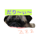 日常的会話で使うかも（個別スタンプ：2）