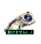 日常的会話で使うかも（個別スタンプ：3）
