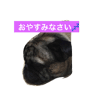 日常的会話で使うかも（個別スタンプ：5）