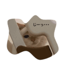 眉間が強めの猫（個別スタンプ：2）