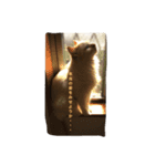 眉間が強めの猫（個別スタンプ：5）