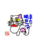 syakure cat（個別スタンプ：3）