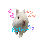 ジェイドスタンプ（個別スタンプ：2）