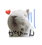 ジェイドスタンプ（個別スタンプ：3）