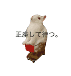 ジェイドスタンプ（個別スタンプ：6）