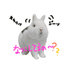 ジェイドスタンプ（個別スタンプ：8）