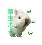 ジェイドスタンプ（個別スタンプ：9）