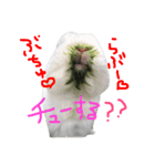 ジェイドスタンプ（個別スタンプ：10）