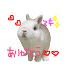 ジェイドスタンプ（個別スタンプ：11）