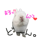 ジェイドスタンプ（個別スタンプ：13）