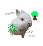 ジェイドスタンプ（個別スタンプ：15）