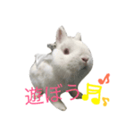 ジェイドスタンプ（個別スタンプ：16）