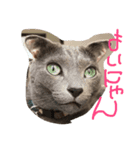 yasukichi  AND  ruwo（個別スタンプ：3）