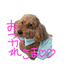 yasukichi  AND  ruwo（個別スタンプ：6）