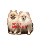 MOCO＆COCO（個別スタンプ：1）