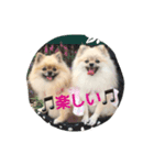 MOCO＆COCO（個別スタンプ：3）