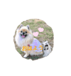 MOCO＆COCO（個別スタンプ：6）