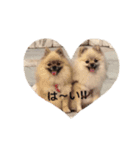 MOCO＆COCO（個別スタンプ：8）