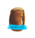 猫好きの人のスタンプです（個別スタンプ：6）