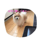 しゅわ（個別スタンプ：7）