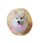 しゅわ（個別スタンプ：8）