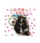 いつもありがとう元気良すぎなちびっこ（個別スタンプ：8）