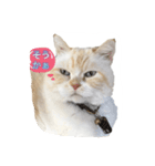 イブ2（個別スタンプ：1）