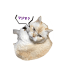 イブ2（個別スタンプ：2）