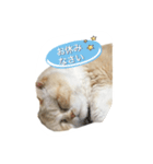 イブ2（個別スタンプ：3）