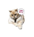 イブ2（個別スタンプ：6）
