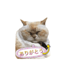 イブ2（個別スタンプ：8）