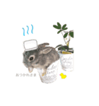 うさぎのぷーちん（個別スタンプ：3）