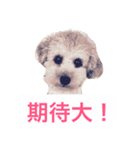 YURU さえちゃんワールド 1（個別スタンプ：5）