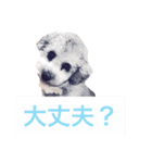 YURU さえちゃんワールド 1（個別スタンプ：6）