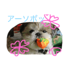 ミントの電話中（個別スタンプ：8）