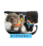 しぇるちゃんの呟き①（個別スタンプ：3）