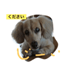 momosn picts（個別スタンプ：2）